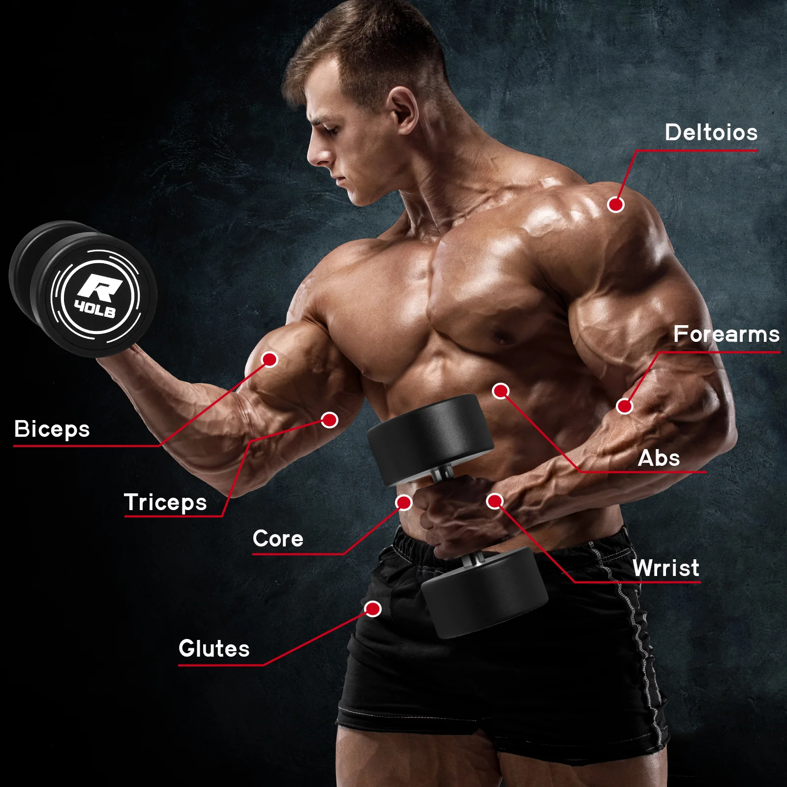 RitFit PVC-Coated Round Dumbbells Set with Rack - Image 16